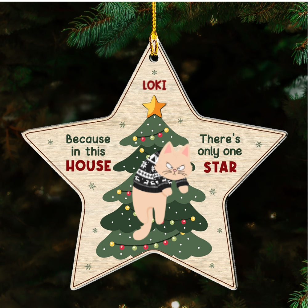 There's Only One Star In This House - Personalized Custom Acrylic Ornament
