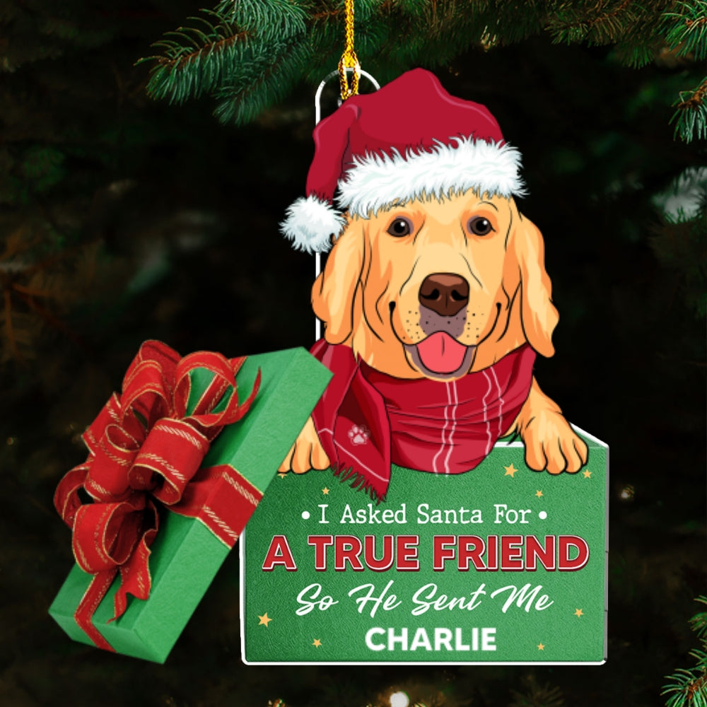 A True Friend - Personalized Custom Acrylic Ornament