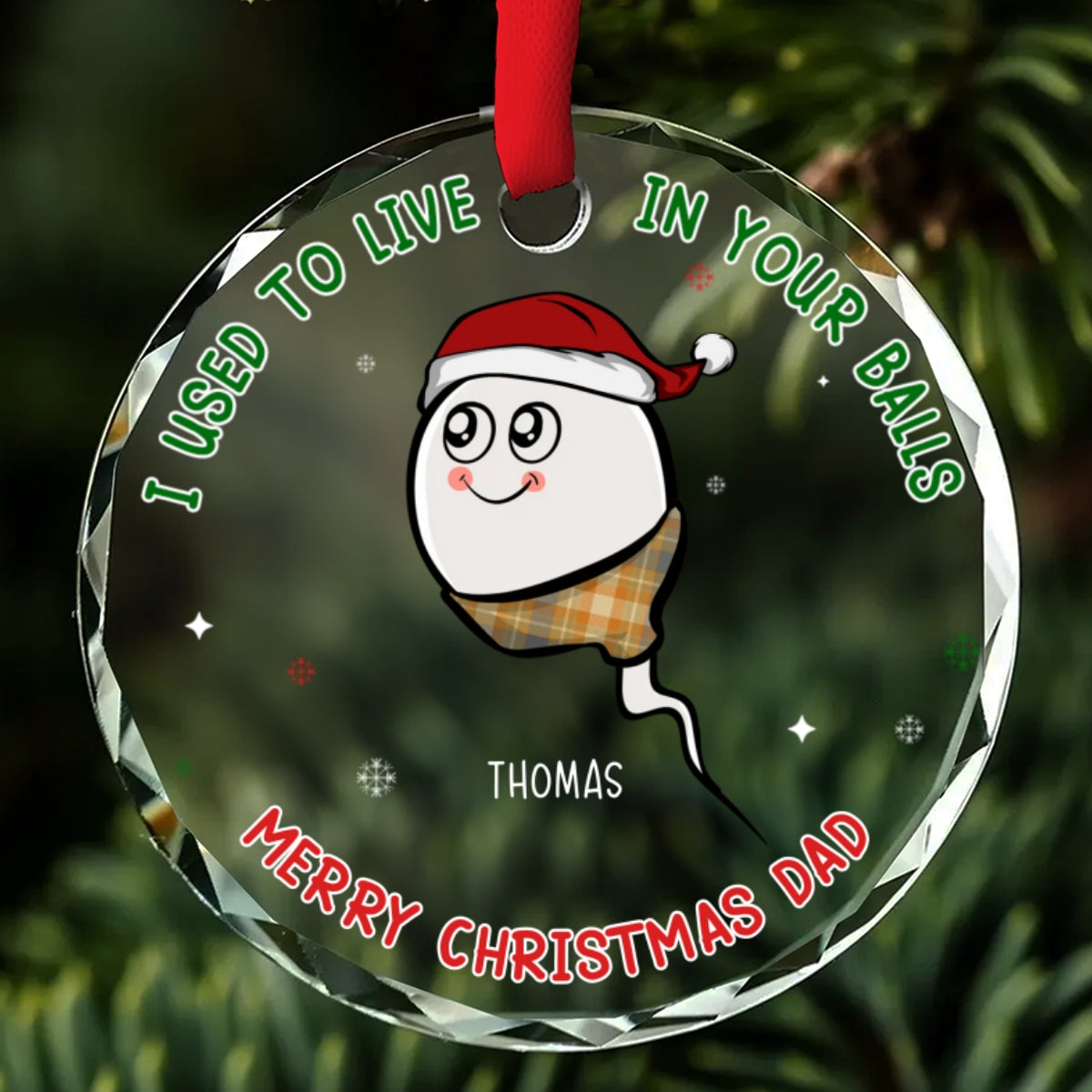 We Used To Live In Your Balls - Personalized Custom Glass Ornament