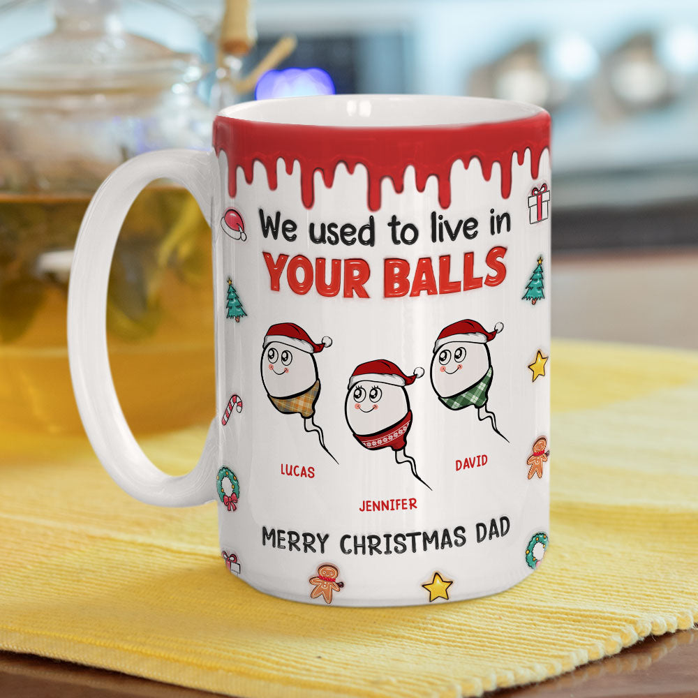 We Used To Lived In Your Balls Merry Christmas - Personalized Custom 3D Inflated Effect Mug