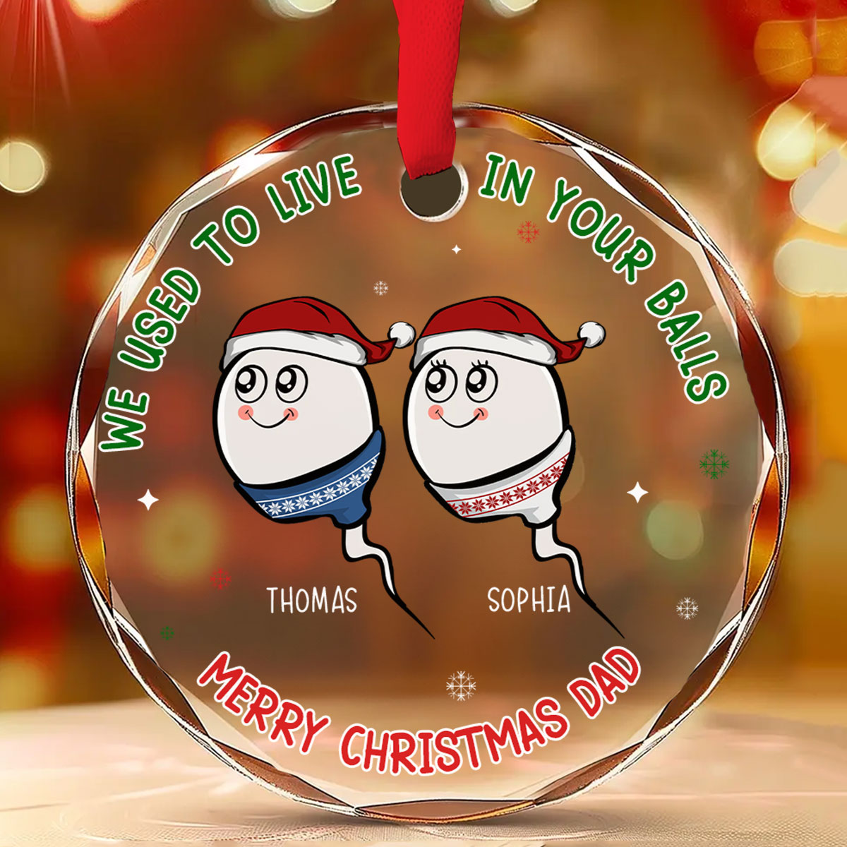 We Used To Live In Your Balls - Personalized Custom Glass Ornament