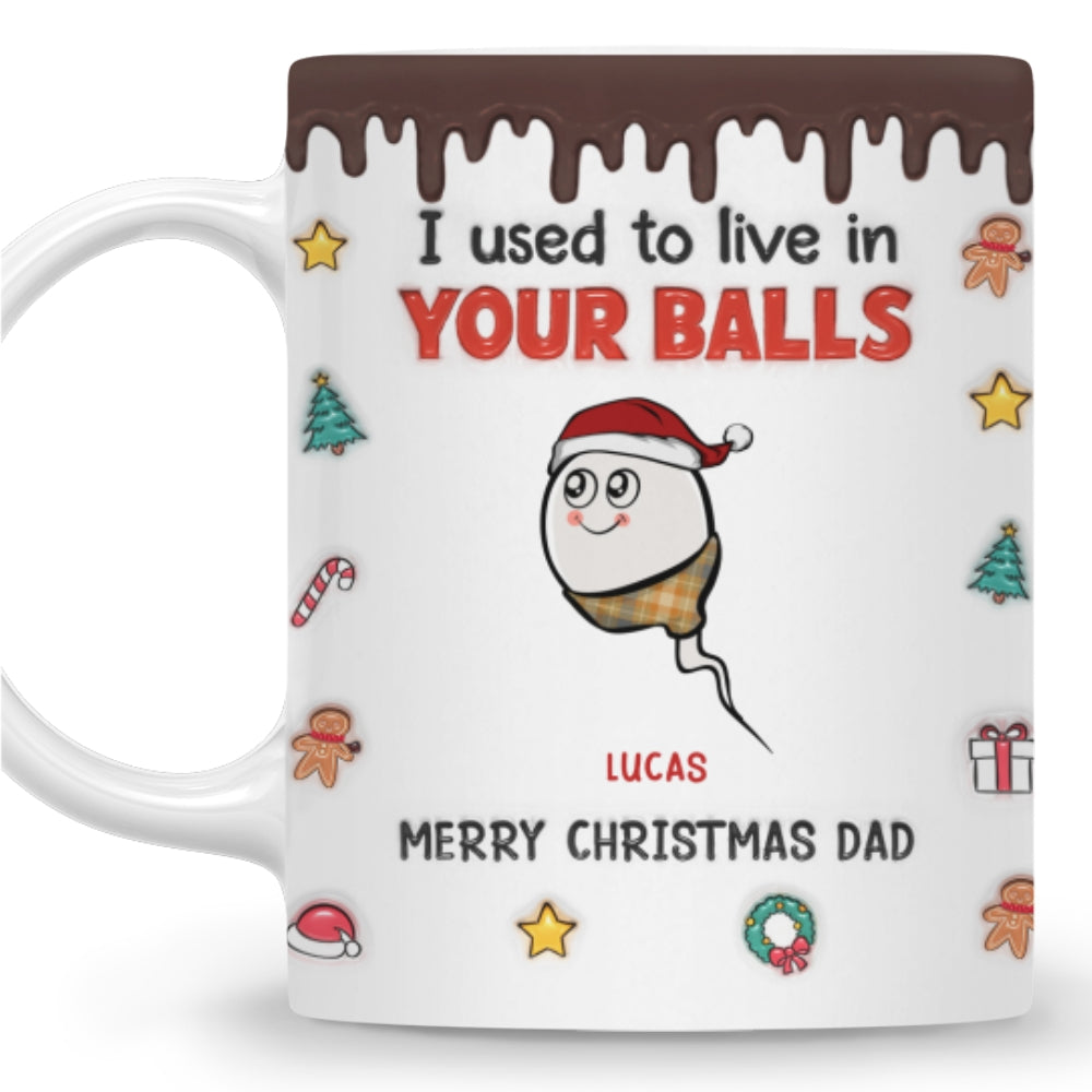 We Used To Lived In Your Balls Merry Christmas - Personalized Custom 3D Inflated Effect Mug