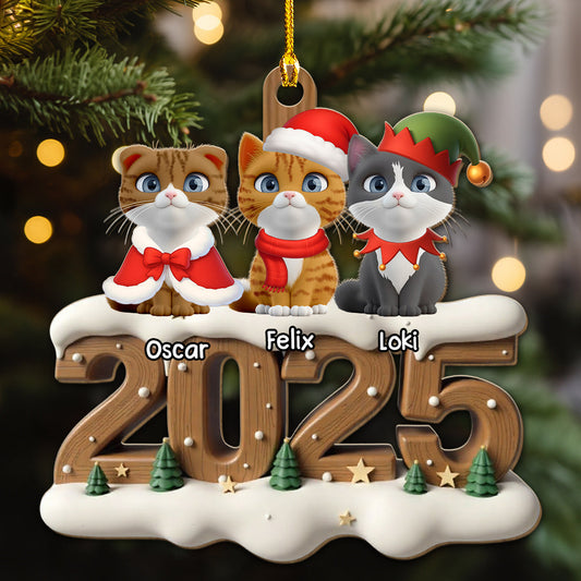 Only Cats This Year - Personalized Custom 3D Effect Wood Ornament