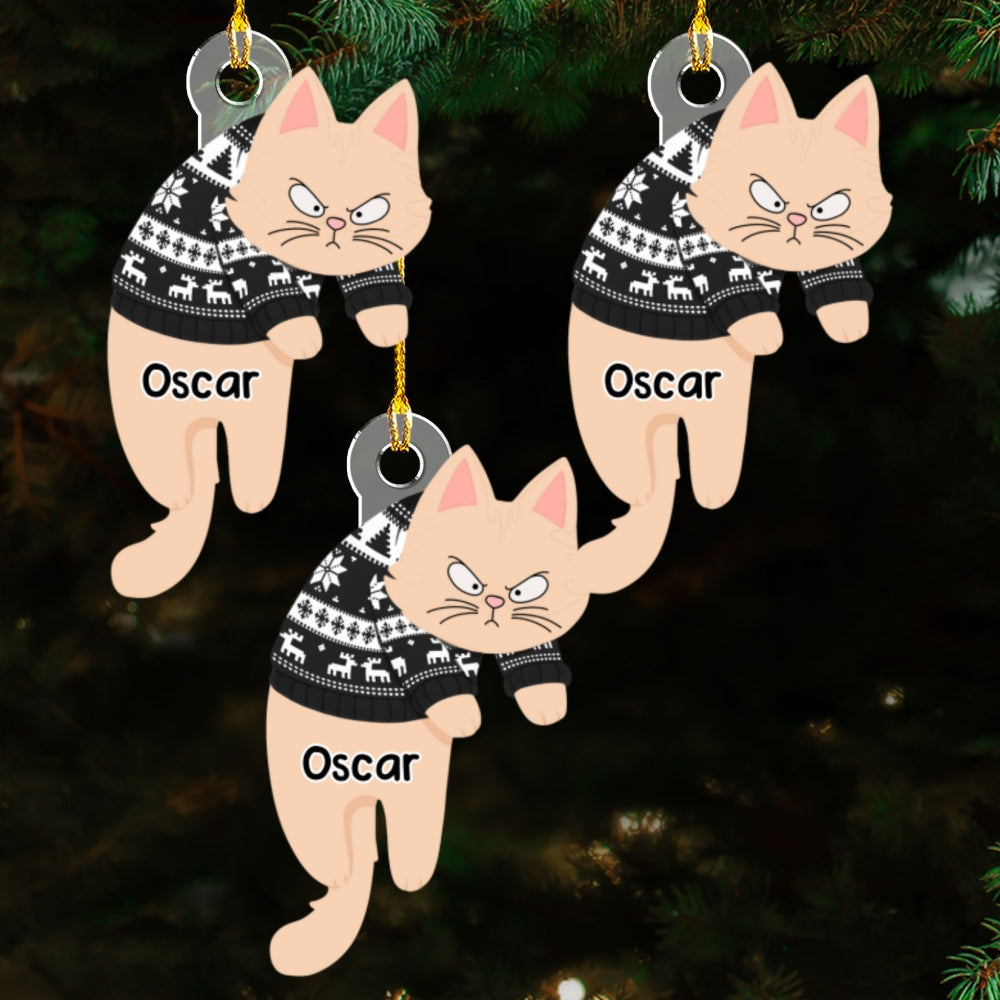 Hanging Cats - Personalized Custom Acrylic Ornament