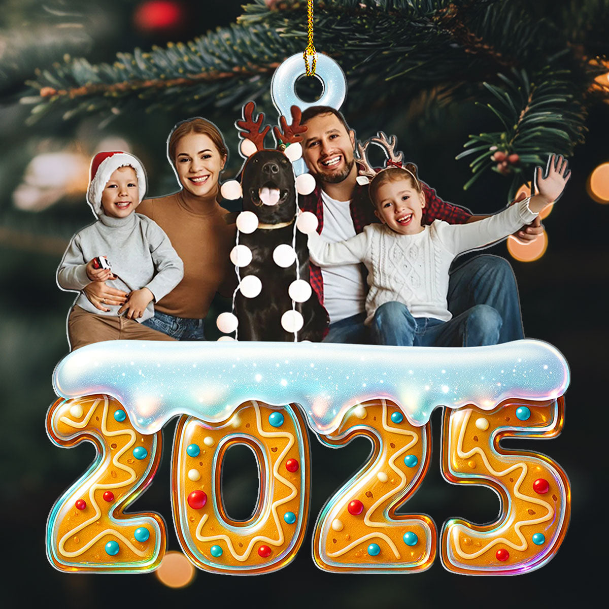 2025 Family Reunion Photo - Personalized Custom Acrylic Ornament