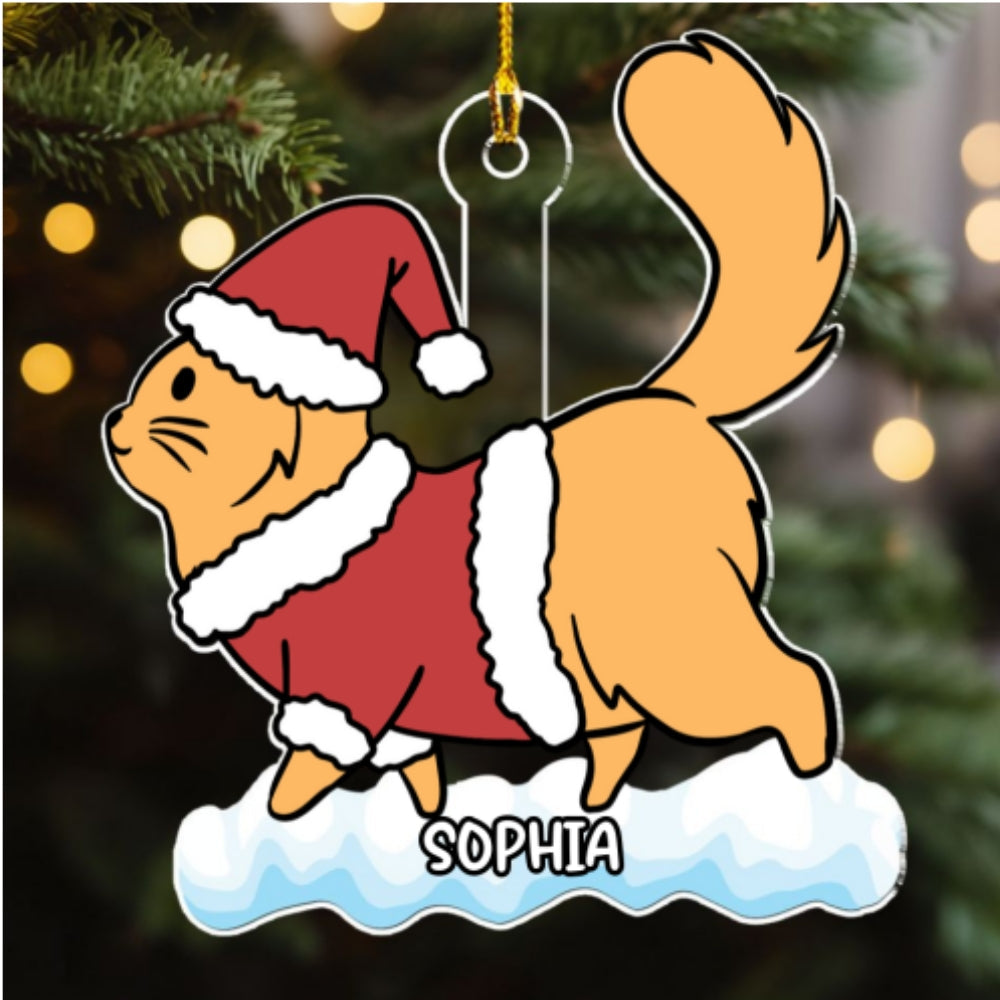 Cat Snow - Personalized Custom Acrylic Ornament
