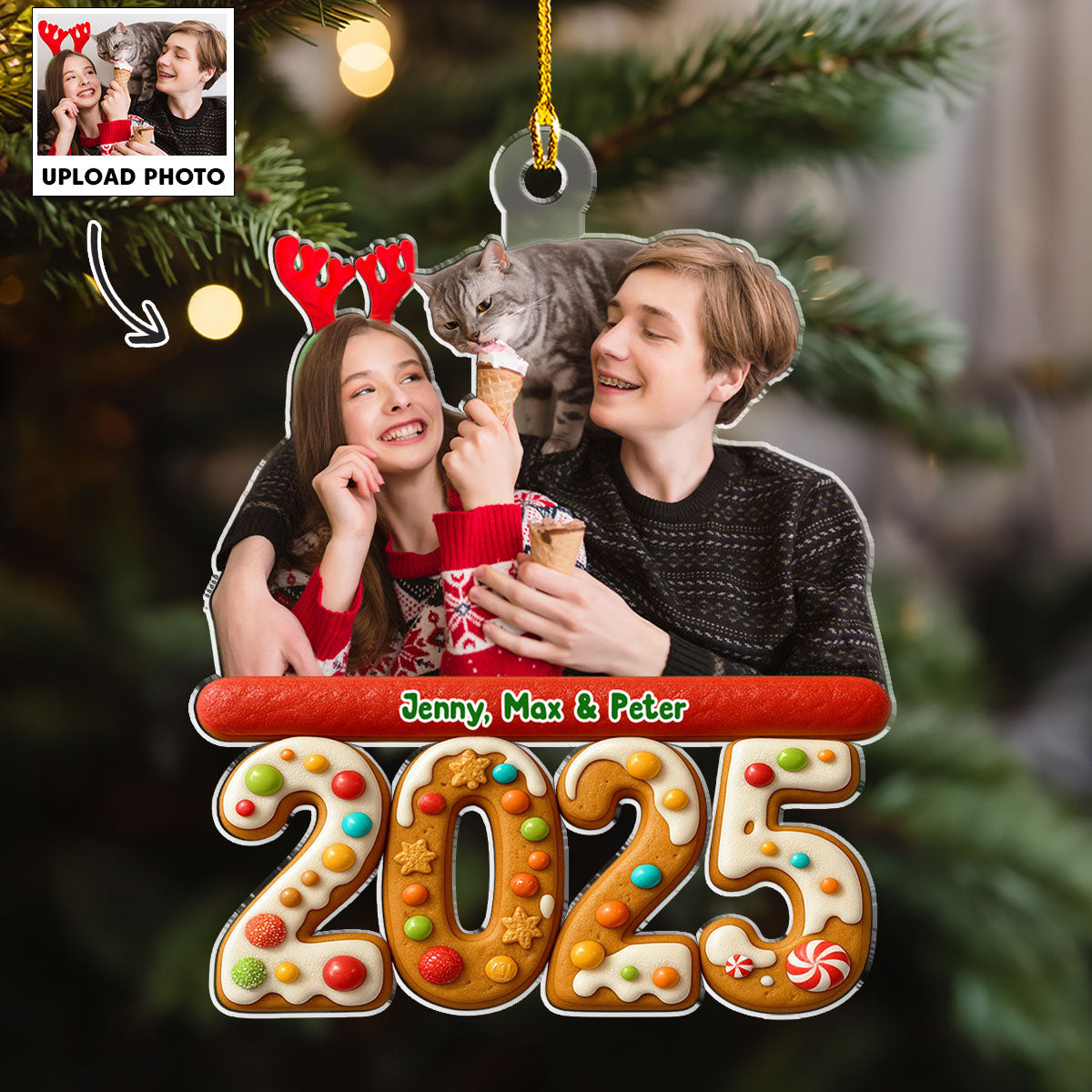 We And Our Cat Version 3 Photo - Personalized Custom Acrylic Ornament