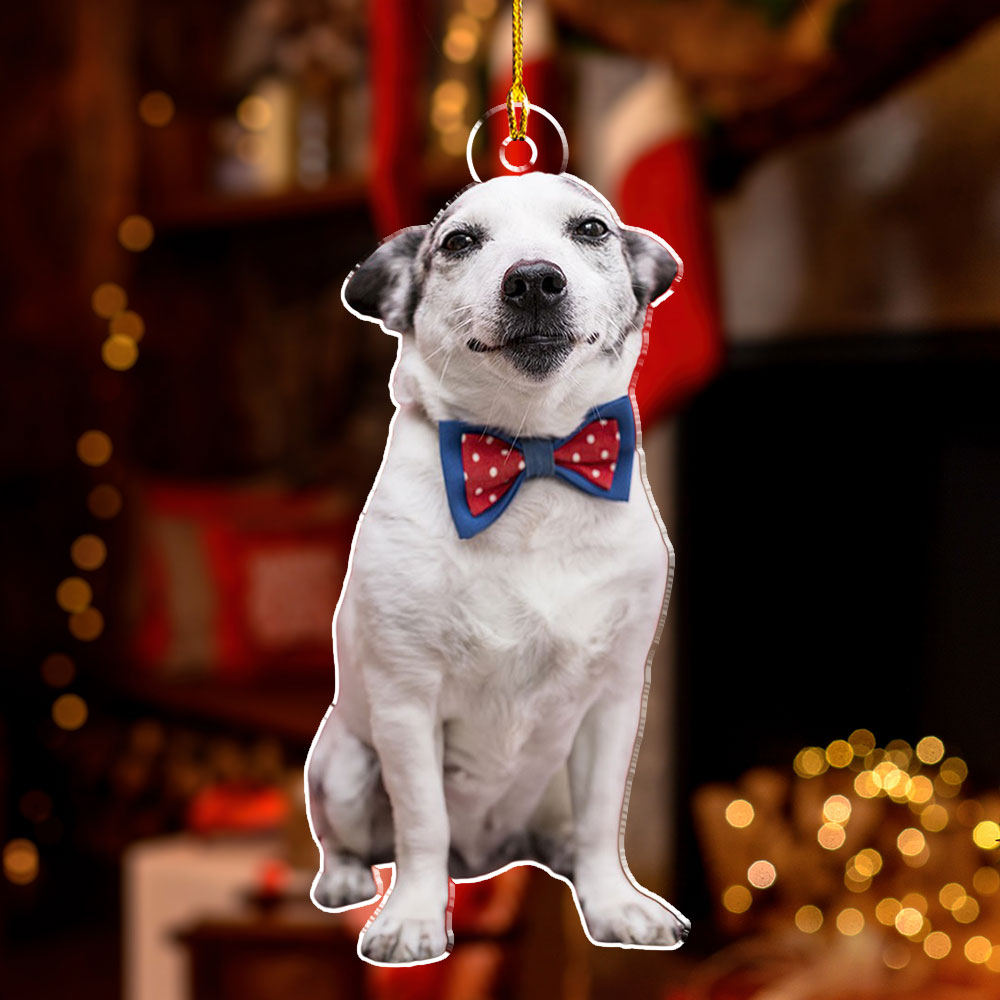 Custom Photo Pet Christmas - Personalized Custom Acrylic Ornament