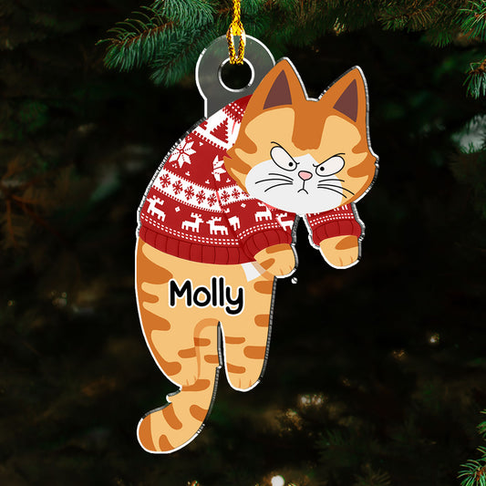 Hanging Cats - Personalized Custom Acrylic Ornament