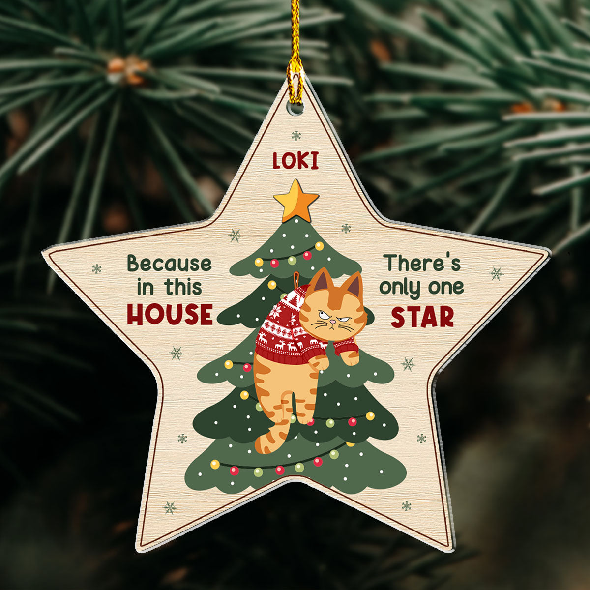 There's Only One Star In This House - Personalized Custom Acrylic Ornament