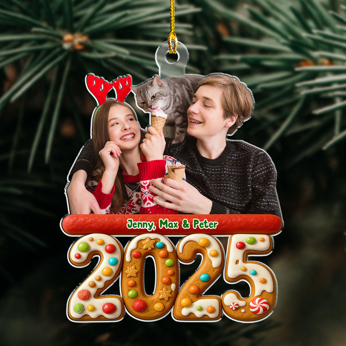 We And Our Pet Version 3 Photo - Personalized Custom Acrylic Ornament