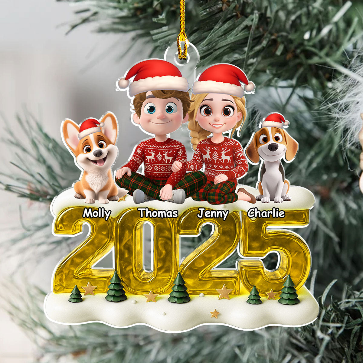 Memorable Year - Personalized Custom Acrylic Ornament