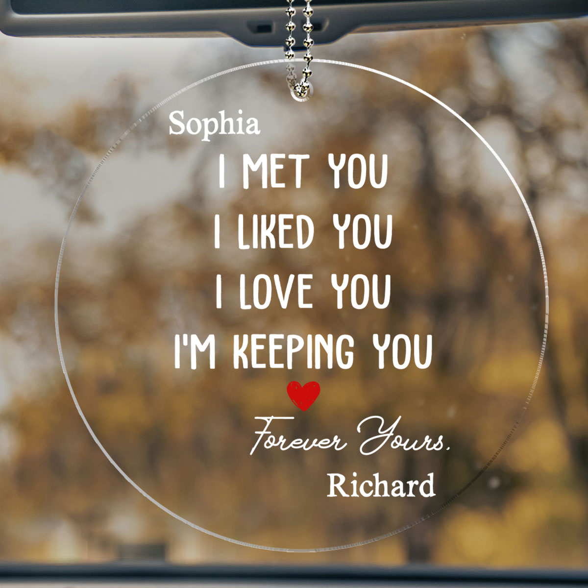 I Met You I Liked You - Personalized Custom Car Ornament
