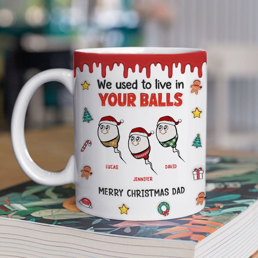 We Used To Lived In Your Balls Merry Christmas - Personalized Custom 3D Inflated Effect Mug