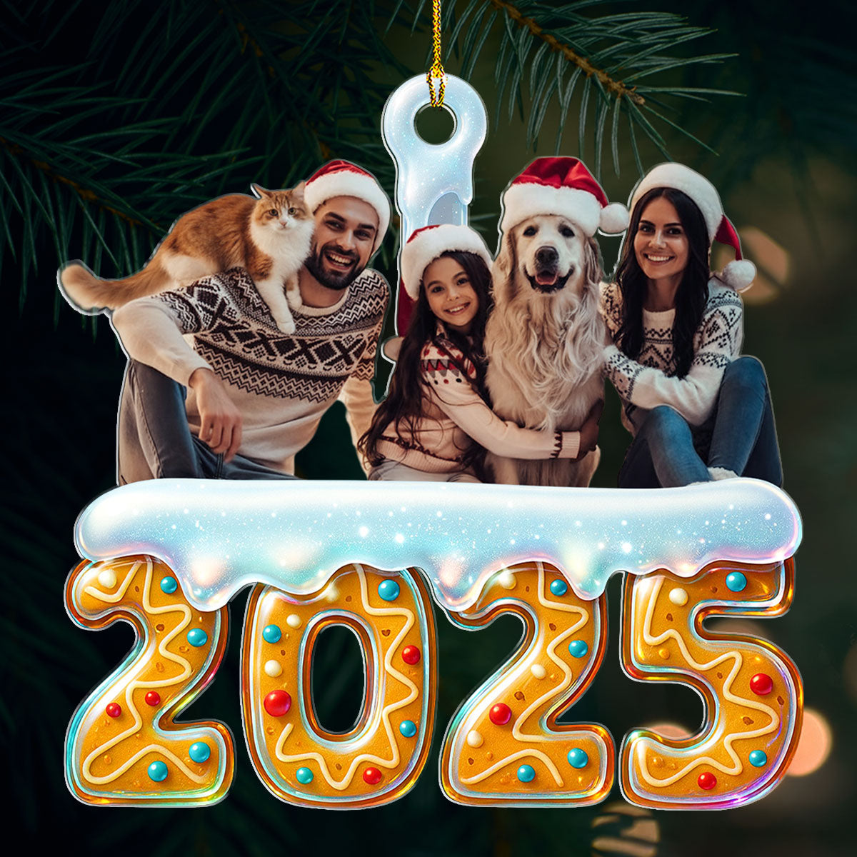 2025 Family Reunion Photo - Personalized Custom Acrylic Ornament