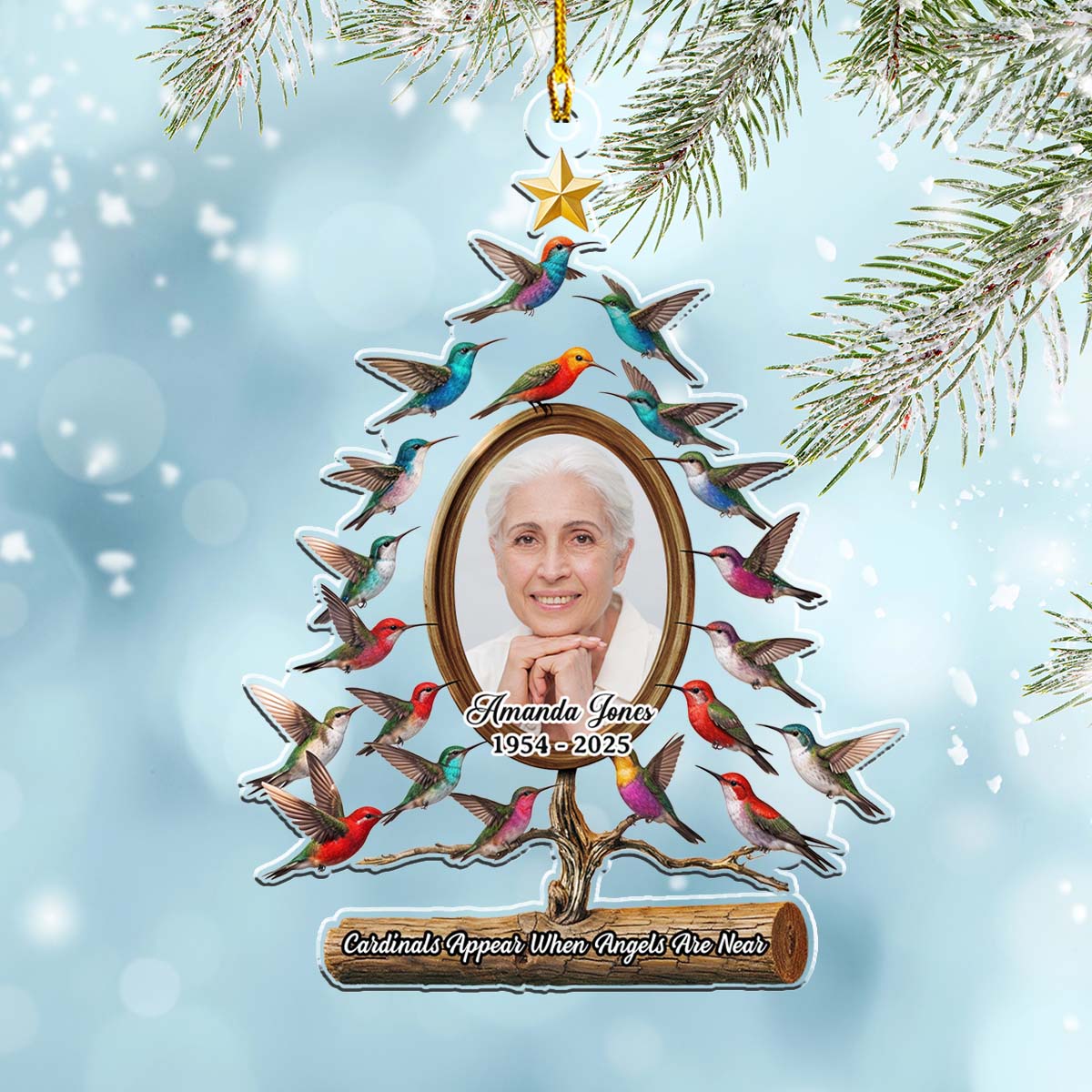 Hummingbird - Personalized Custom Acrylic Ornament