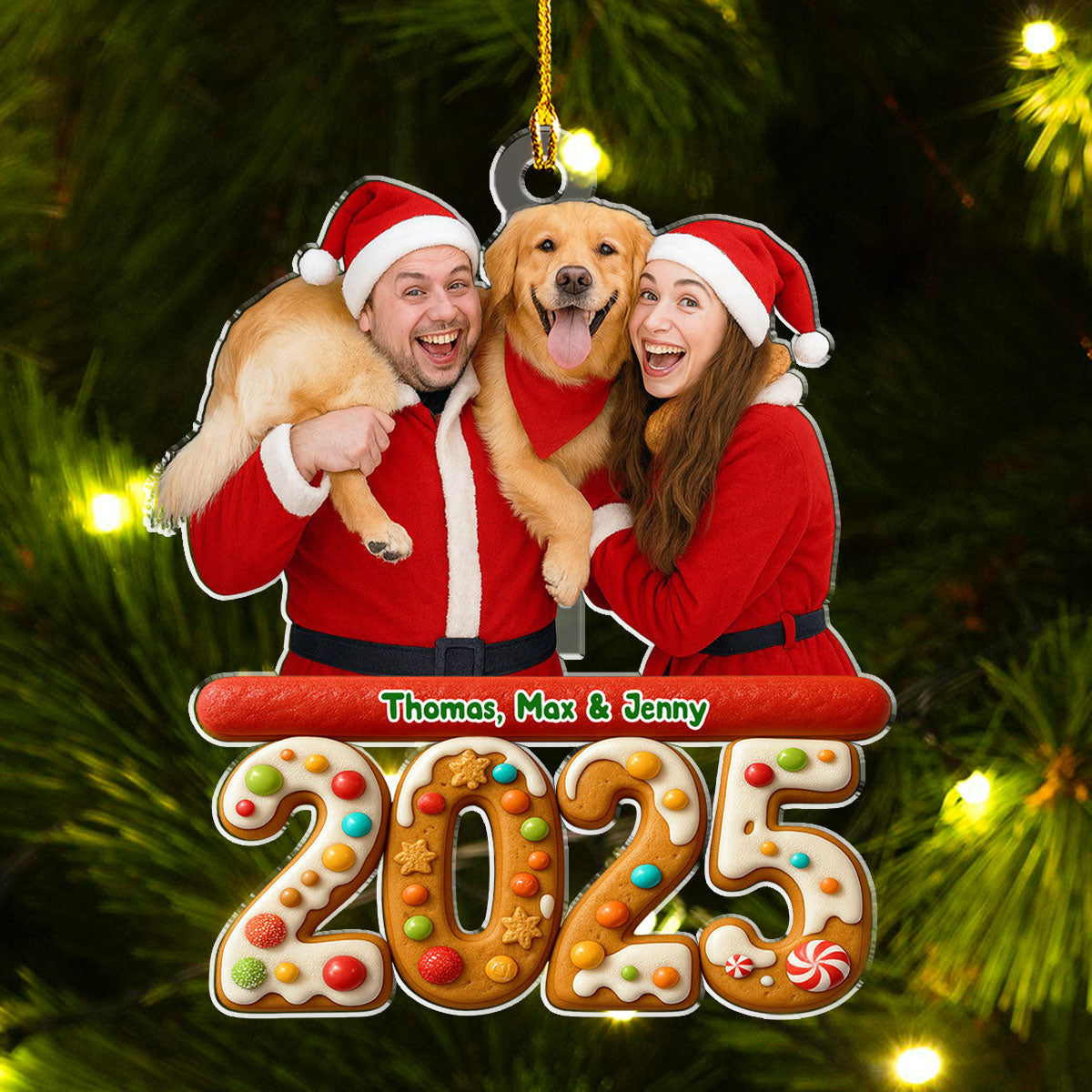 We And Our Pet Version 3 Photo - Personalized Custom Acrylic Ornament