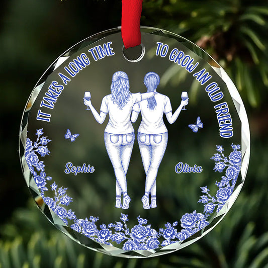 Our Friendship Take Time To Grow  - Personalized Custom Glass Ornament