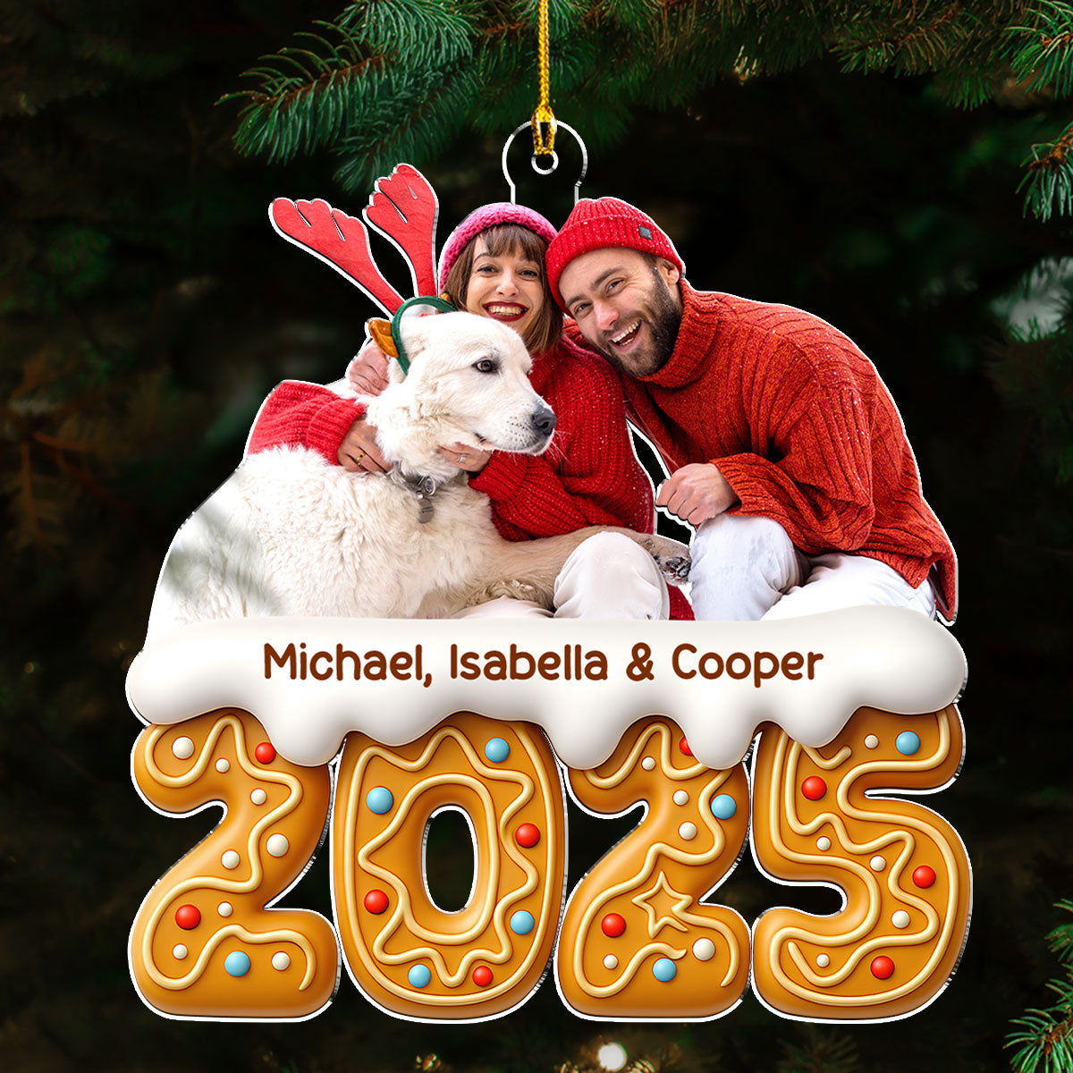 Family Of The Year Photo - Personalized Custom Acrylic Ornament