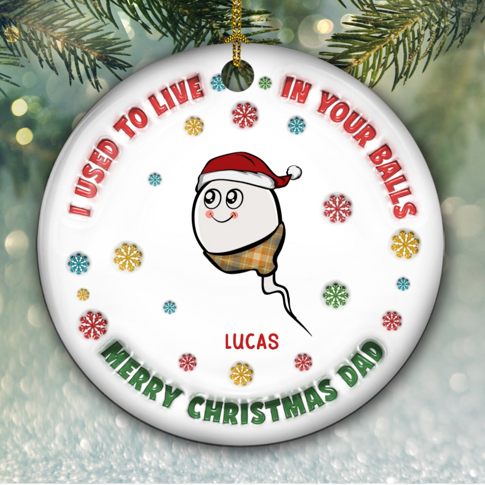 I Used To Live In Your Balls - Personalized Custom 3D Inflated Effect Ceramic Ornament