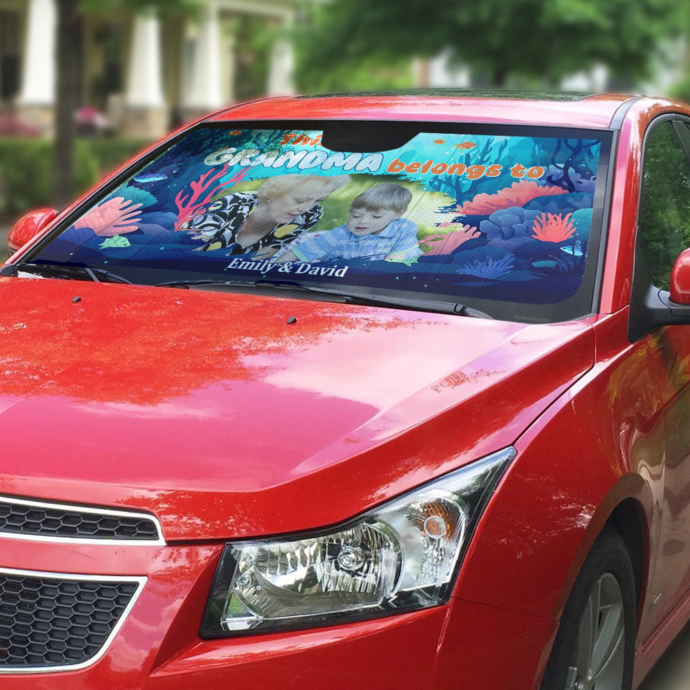 Grandma Turtle Photo - Personalized Custom Car Sunshade