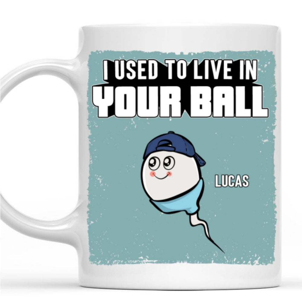 We Used To Live In Your Balls - Personalized Custom Coffee Mug
